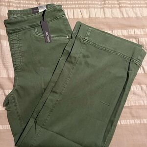 Chico's Pull on Green Wide Leg Jeans Chico size 2P US size 12P